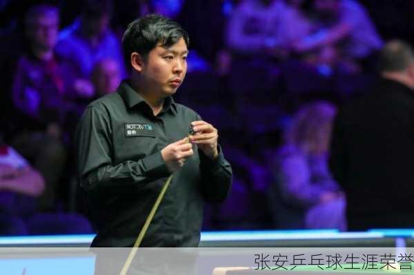 张安乒乓球生涯荣誉