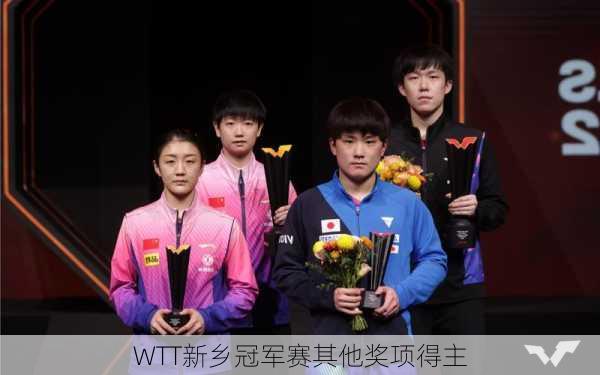 WTT新乡冠军赛其他奖项得主