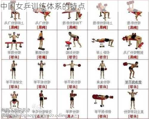 中国女乒训练体系的特点